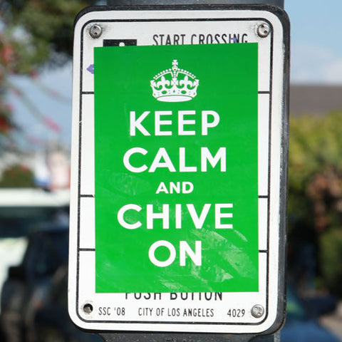 Keep Calm Street Sticker